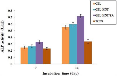 Osteogenesis Improvement of Gelatin-Based Nanocomposite Scaffold by Loading Zoledronic Acid